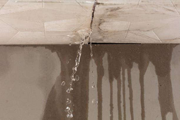 Professional Structural Drying technician working in Randleman, NC